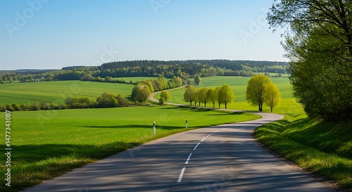 Sunlit Country Road