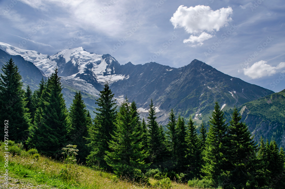 Obraz premium Scenic Alpine Mountain Landscape with Evergreen Trees, Blue Sky, Clouds on Sunny Summer Day