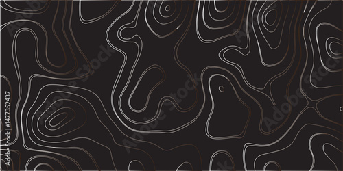 "Create a dark-themed abstract background featuring topographic contour lines. The lines should flow smoothly with organic curves, forming layered patterns over a deep black or charcoal surface. The d