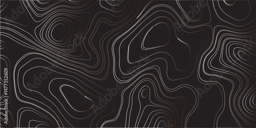 "Create a dark-themed abstract background featuring topographic contour lines. The lines should flow smoothly with organic curves, forming layered patterns over a deep black or charcoal surface. The d