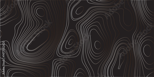  "Create a dark-themed abstract background featuring topographic contour lines. The lines should flow smoothly with organic curves, forming layered patterns over a deep black or charcoal surface.