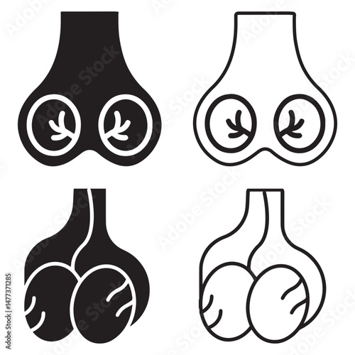 Human Testicle Icon Collection. Male reproductive organ anatomy collection. Reproductive system.