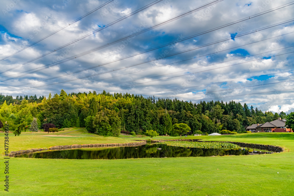 Fototapeta premium Lake with power lines. Green nature energy. Landscape with electric voltage station. Electricity pylon. Nature summer environment. Electricity tower. Electricity power lines in nature landscape