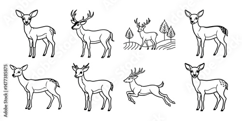 Graphic black silhouettes of wild deers  male Or female and roe deer On White Background