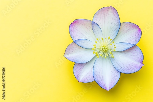 Floral beauty on a vibrant background