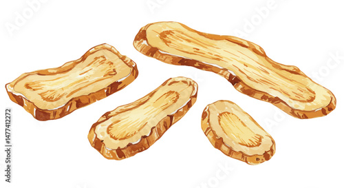 Detailed Watercolor Illustration Showcasing A Pile Of Dried Galangal Slices Exhibiting A Warm Earthy Palette And Intricate Textures In A Close Up Presentation On A Clean White Background