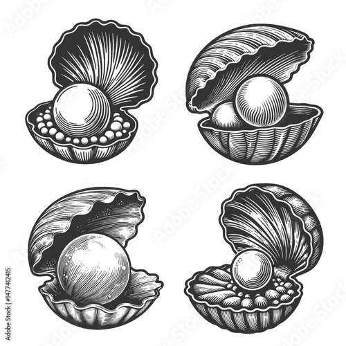 pearls nestled inside open seashells, ideal for jewelry, oceanic, and luxury-themed designs Set collection bundle sketch engraving generative ai vector illustration. Scratch board. Black and white.