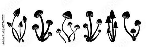 Set of silhouettes, stamps of autumn compositions of death cap mushrooms. Vector graphics.