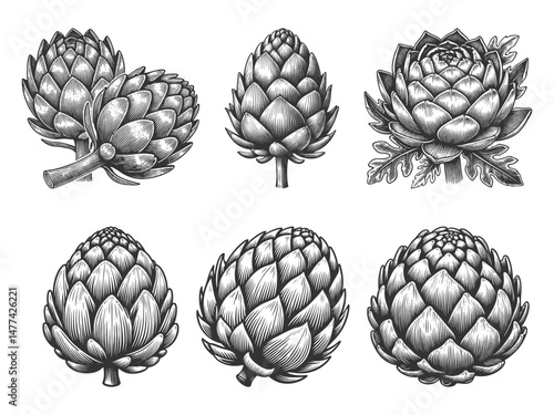 artichoke Set collection bundle sketch engraving generative ai vector illustration. Scratch board imitation. Black and white image.