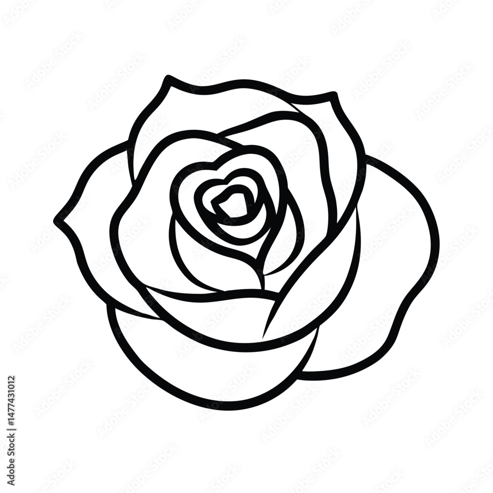 rose vector illustration rose vector illustration