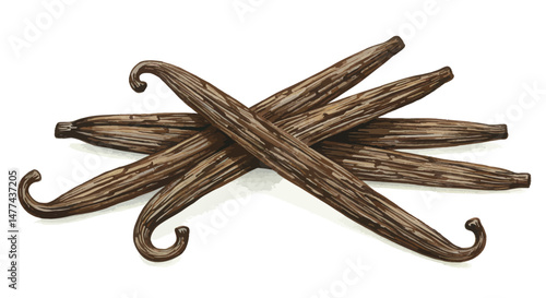 A Meticulously Rendered Illustration Features A Cluster Of Vanilla Beans Gracefully Arranged Against A Clean White Backdrop Emphasizing Their Natural Texture And Rich Dark Brown Tones In