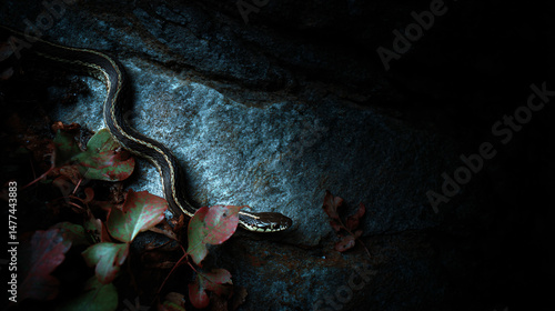 Snake eubstance winding between rocks and leaves, elegant motion enamour from afar with natural lighting