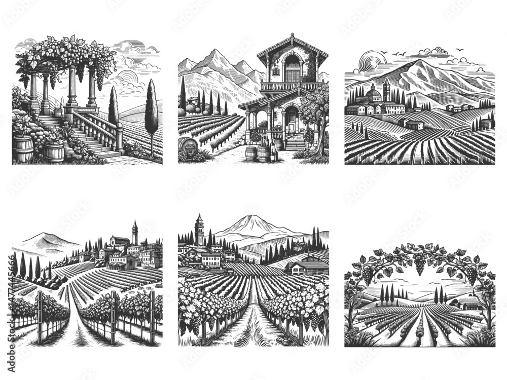 vineyards, wineries, grape fields, and rustic wine estates Set collection bundle sketch engraving generative ai vector illustration. Scratch board imitation. Black and white image. vineyards, wineries, grape fields, and rustic wine estates Set collection bundle sketch engraving generative ai vector illustration. Scratch board imitation. Black and white image.