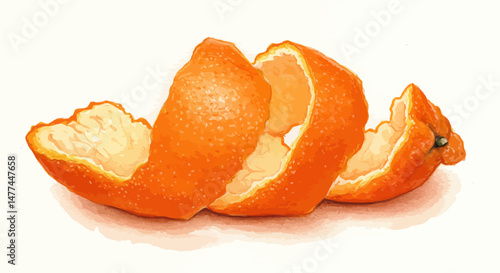 A Detailed Watercolor Painting Presents A Vividly Textured Orange Peel Gracefully Unfurling On A White Surface Capturing The Zestful Essence And Intricate Details With Delicate Washes Of