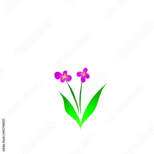 Wallpaper Mural Simple floral illustration with vibrant colors against a stark black background Torontodigital.ca