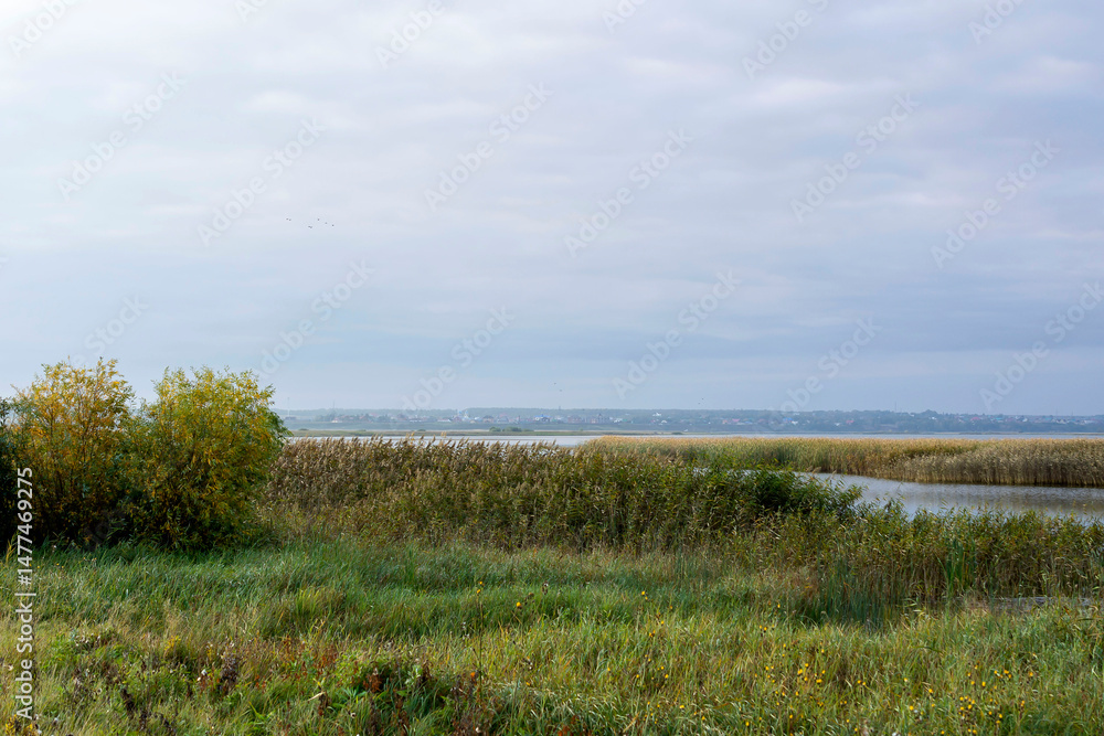 Obraz premium early autumn dawn over the marshy banks of a wild river. Overgrown with reeds, it will rain, cloudy dark sky