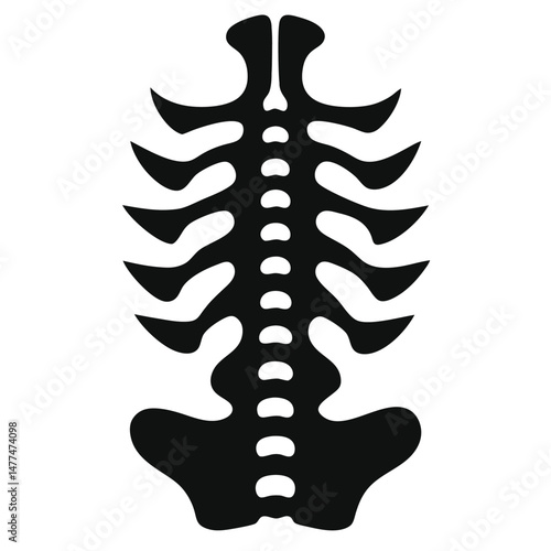 Minimal spine silhouette against white offers a simplified anatomical bone structure in stark black