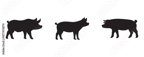 Three different pig breed silhouettes shown side by side in black, representing variations in body shape and type, ideal for farming or butcher-related visuals