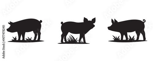 Three black pig silhouettes in side profile, each with distinct body shapes and features, isolated on a white background for farm, livestock, or agricultural design use
