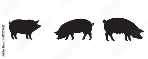 Silhouettes of three pigs with distinct physiques, ideal for educational charts, farming visuals, meat industry guides, or minimalist animal design projects