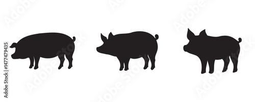 Silhouettes of three pigs with distinct physiques, ideal for educational charts, farming visuals, meat industry guides, or minimalist animal design projects