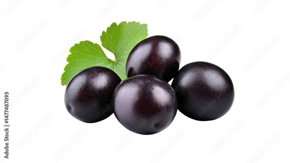 Fresh Juicy Black Plums with Green Leaves Fresh Juicy Black Plums with Green Leaves