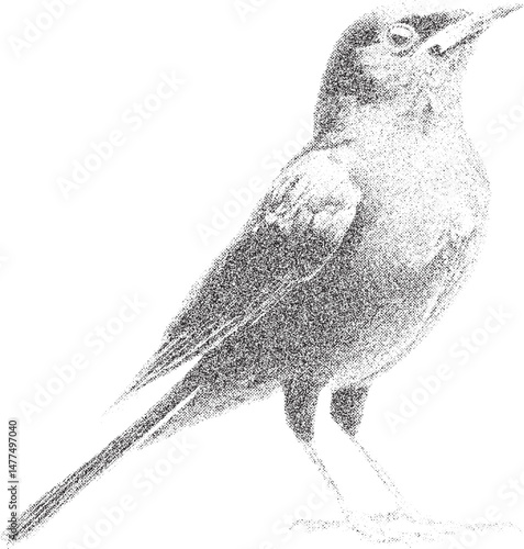 Black and white xerox effect vector illustration of a bird speckled grainy noise texture vintage retro style wildlife nature ornithology avian fauna feathered friend monochrome drawing stippled dots