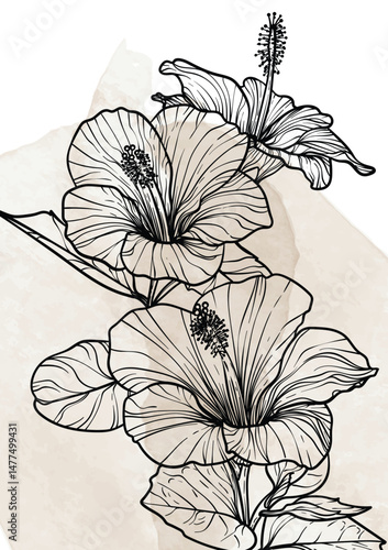 A4, A3, Hibiscus bouquet vector hand drawn illustration. Art print with elegant black flower on a watercolor splatter. Highly detailed and high quality graphic asset for online and print. 