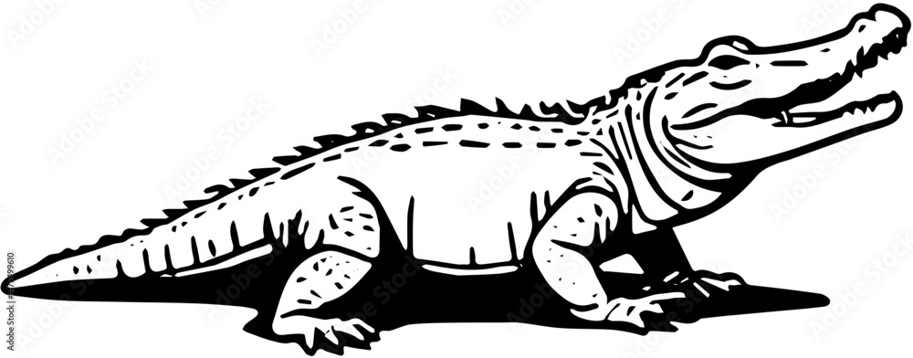 vector illustration of a crocodile vector illustration of a crocodile