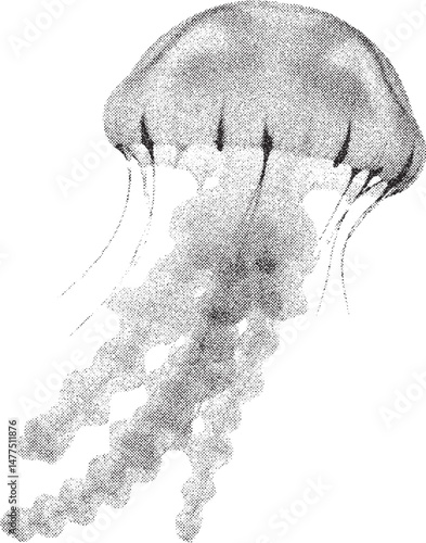 Black and White Xerox Effect Vector Illustration of a Jellyfish Marine Life Underwater Creature Ocean Animal Wildlife Nature Design Element Stippled Engraving Style Retro Vintage Halftone Dotted