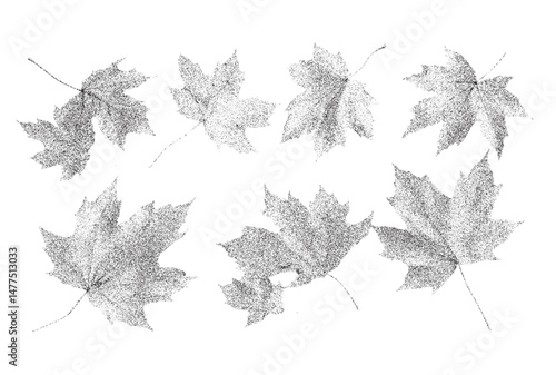 Black and white xerox effect maple leaves vector illustration set for autumn fall designs grainy textured foliage monochrome leaf collection isolated on white background nature botanical graphics