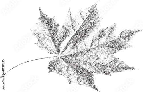 Black and white xerox effect maple leaf vector illustration grainy textured fall autumn foliage monochrome speckled stippled vintage retro distressed grunge style isolated clipart graphic design
