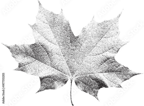 Black and white xerox effect vector maple leaf illustration isolated on white background autumnal design element grainy textured foliage monochrome detailed fall season decorative graphic vintage