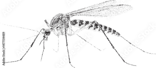 Black and white xerox effect vector mosquito illustration insect pest control malaria disease prevention dengue fever Zika virus west Nile virus encephalitis vector art graphic design isolated