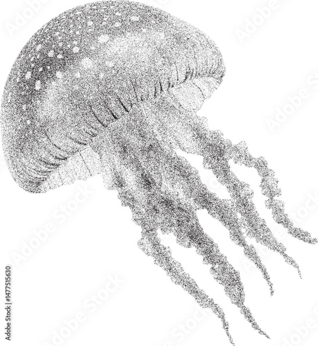 Black and white xerox effect vector illustration of a jellyfish with detailed tentacles underwater marine life ocean creature aquatic animal monochrome grainy textured design element isolated