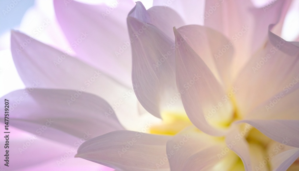 Ethereal Still Life Flowers with Soft Petal Patterns and Glowing Textures for Nature Background Ethereal Still Life Flowers with Soft Petal Patterns and Glowing Textures for Nature Background