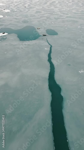 Iceland Jökulsárlón, Seal diving into the glacier lagoon waters from Icebergs - 4K Vertical Drone Aerial View of the Icy Lagoon with Arctic Wildlife, Vatnajökull National Park