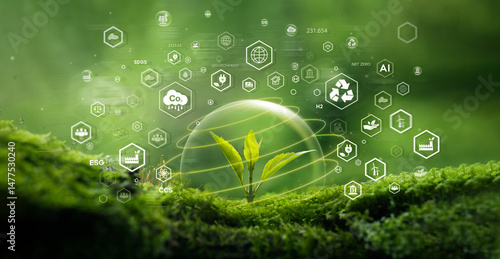 Fototapeta Naklejka Na Ścianę i Meble -  Seedling growing on moss with green forest icon - environment esg concept, ecology and sustainable environment of the world. Eco-friendly green business. ecology, earth day, csr and net zero