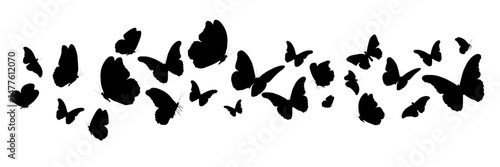 Butterfly silhouettes. Butterflies in different poses. Ideal for spring, summer designs, invitations