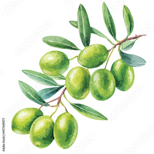 green olives with leaves