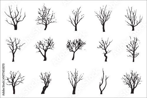 Tree Silhouettes Vector Set – Aspen, Cherry, Fir, Palm & More in Black