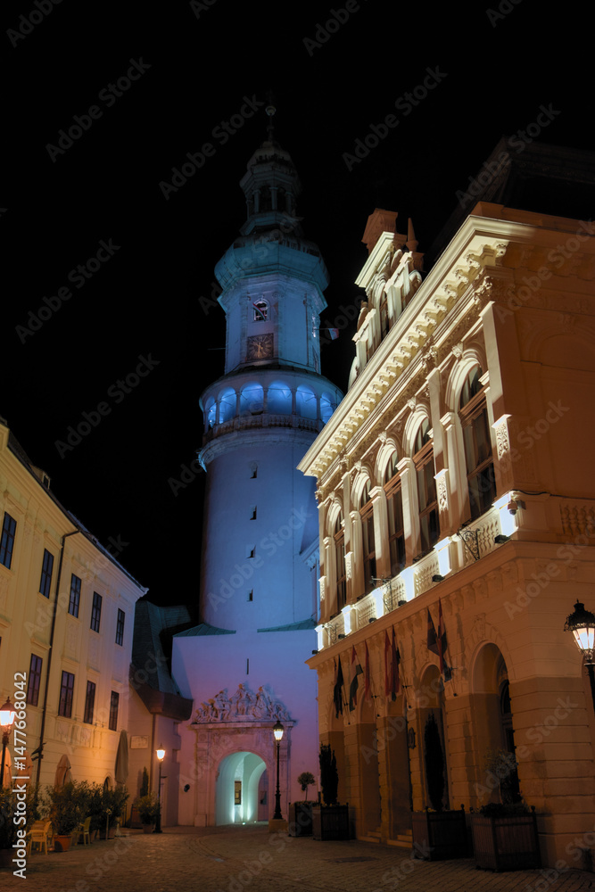 Naklejka premium Sopron