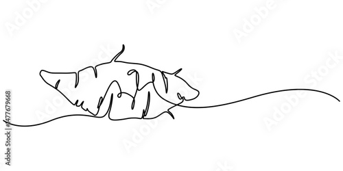 Sweet potato tuber vector illustration. One line art drawing with lettering organic sweet potato, Single continuous line drawing whole healthy organic sweet potato for orchard logo identity. Fresh pro
