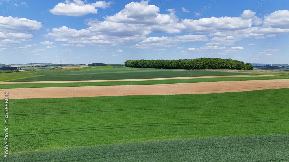 Fototapeta premium a landscape shot with a drone