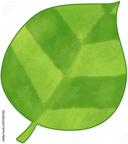Cute Hand drawn Green Leaf