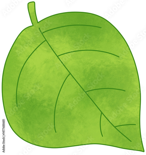 Cute Hand drawn Green Leaf