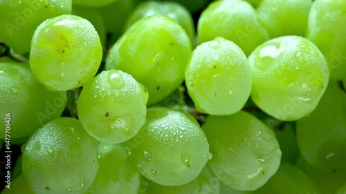 Close-up view of fresh green grapes with water droplets