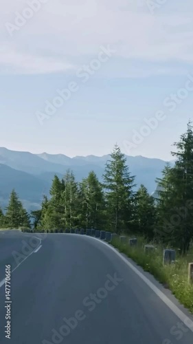 Vertical view of Austria road from car