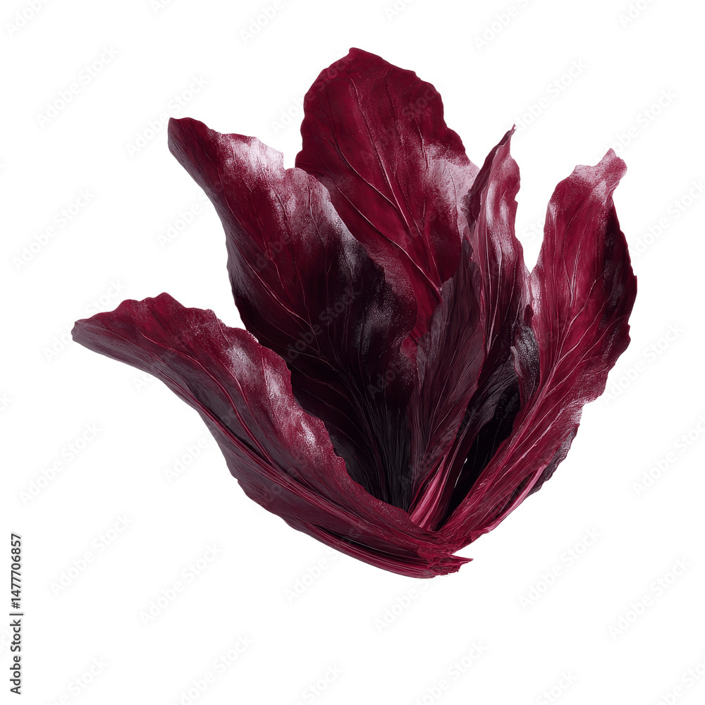 Obraz premium Abstract Red Cabbage Flower - Vivid, Artistic Vegetable Close-up