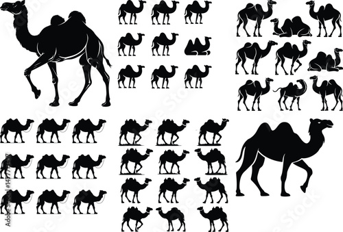Camel Silhouette Set | Desert Animal Vector Icons Arabian Camel Silhouettes Collection | Caravan Animal Graphics